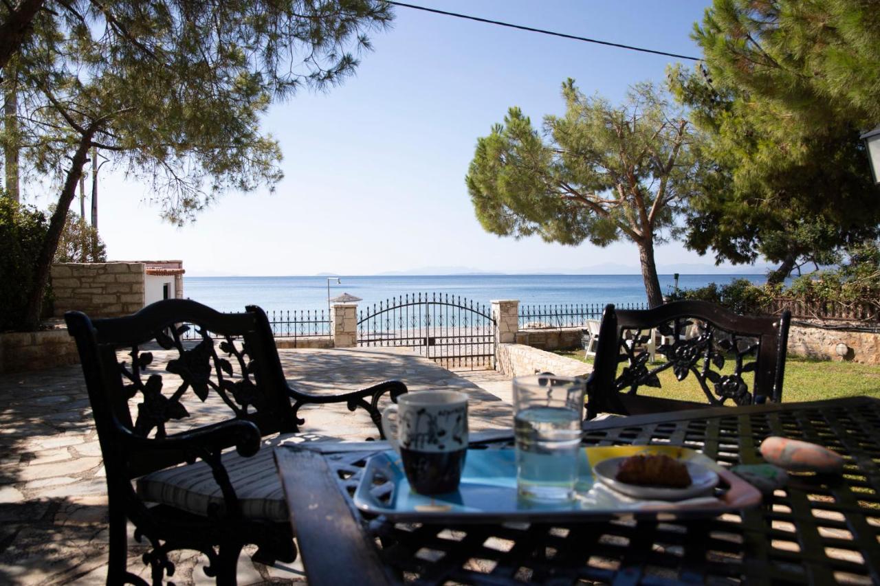 Seaside Haven Kineta Βίλα Εξωτερικό φωτογραφία