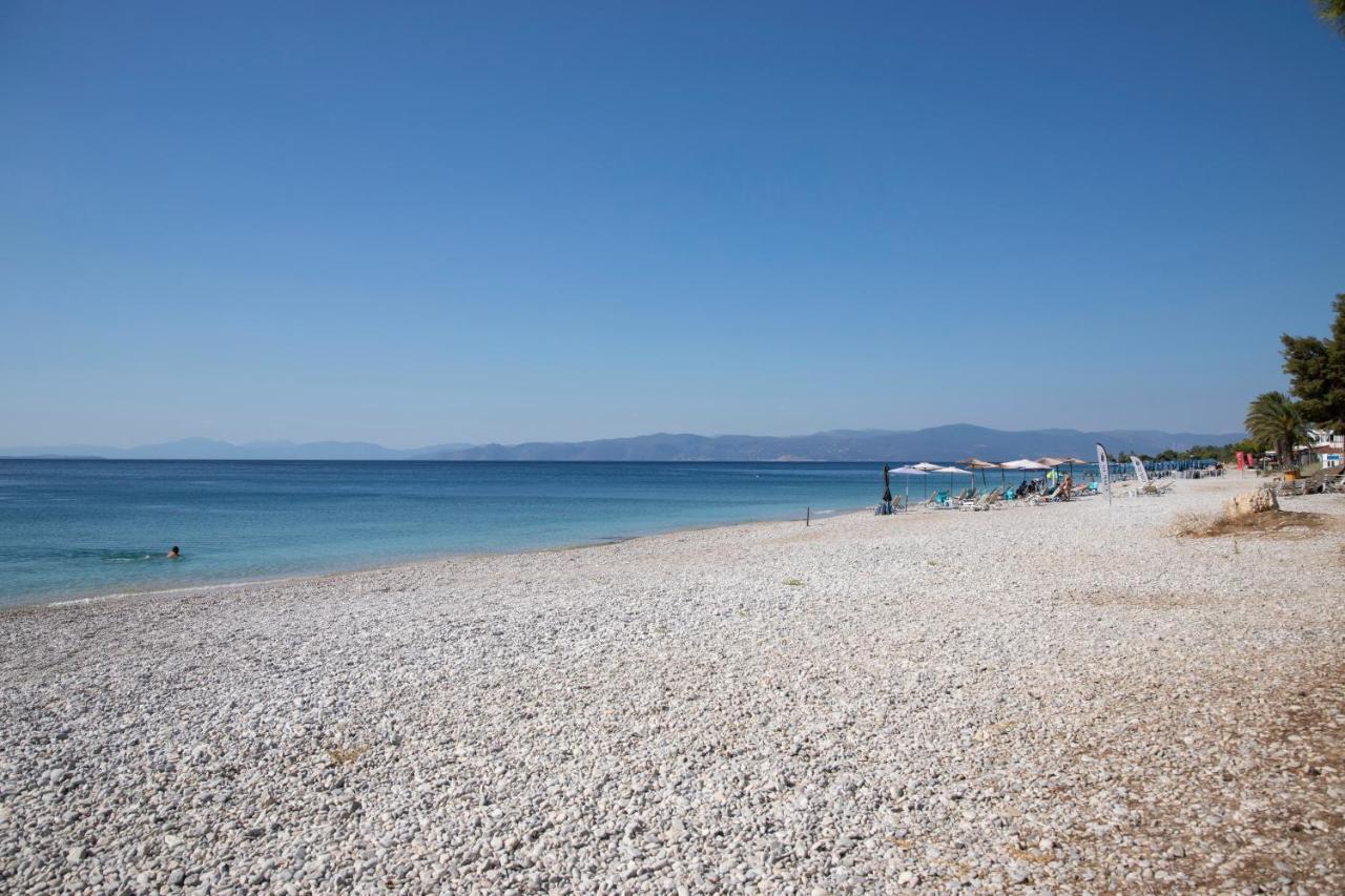 Seaside Haven Kineta Βίλα Εξωτερικό φωτογραφία